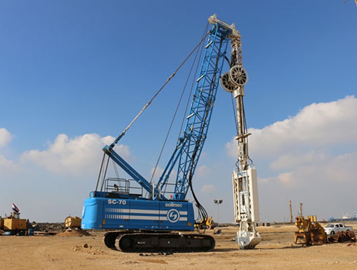 A blue crane standing on the ground, showcasing its large size and vibrant color